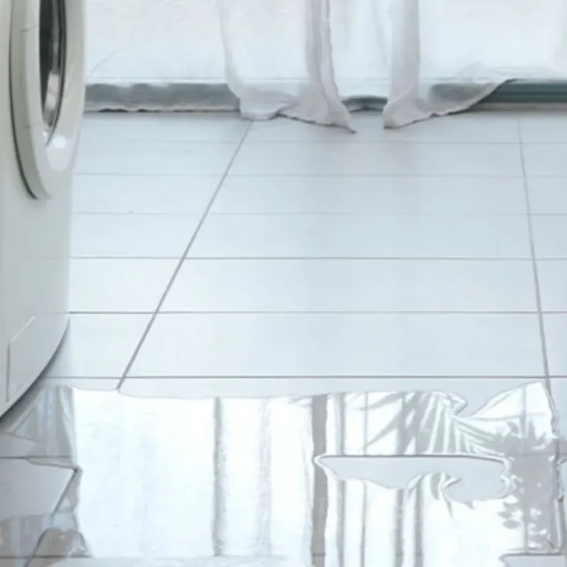 Appliance Leak Cleanup in East Port Orchard, WA