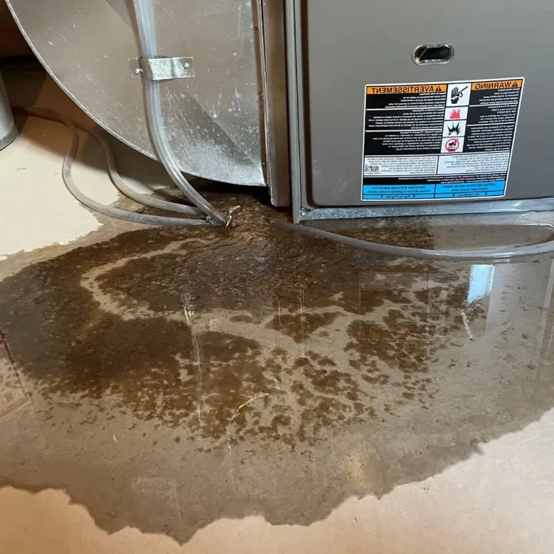 Pipe Burst and Leak Restoration in East Port Orchard, WA